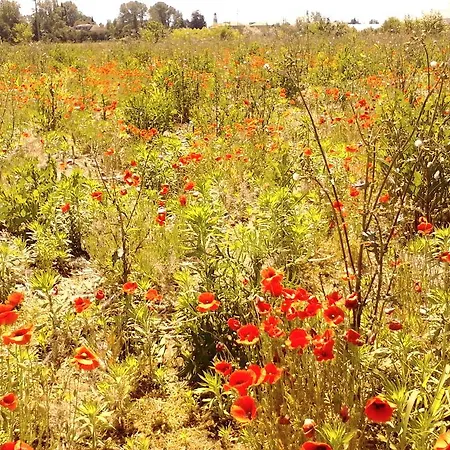 Appartamento Fields *