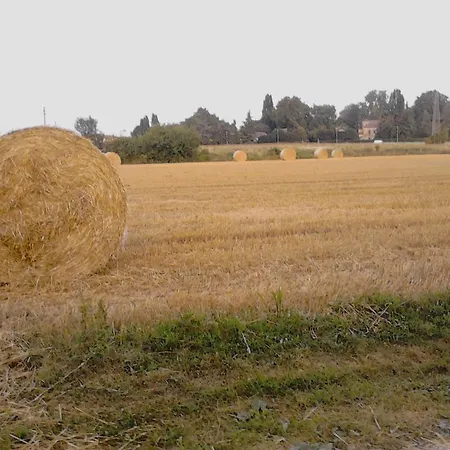 Appartamento Fields